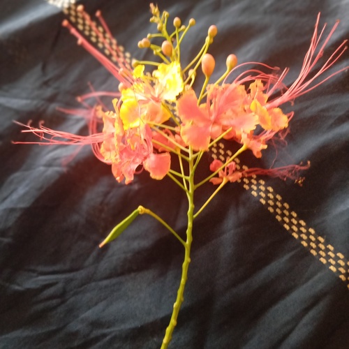 Photo #13811418