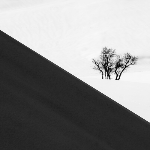 Photo #13811550