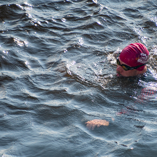 Photo #13811592