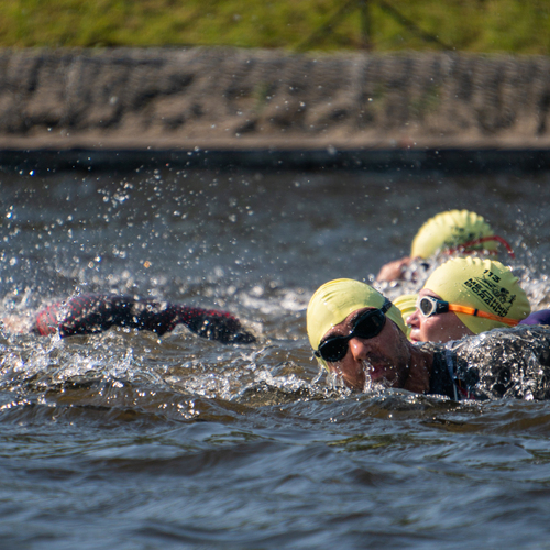 Photo #13811597