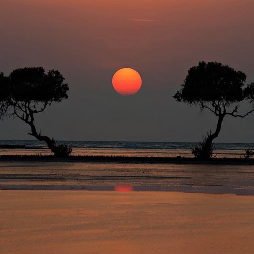 Sunset Embrace