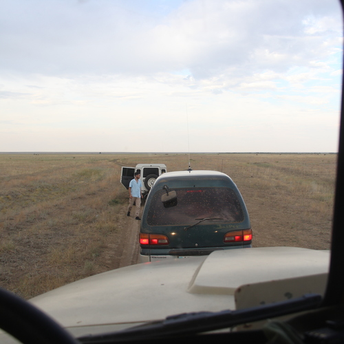 Photo #13811976