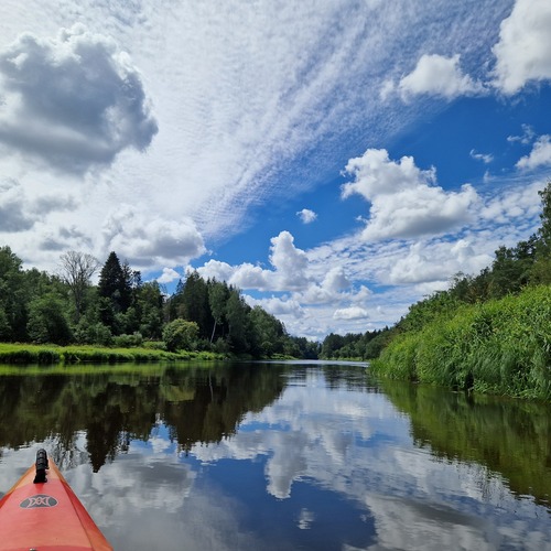 Photo #13812010