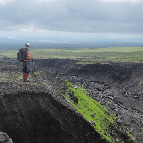 Photo #13812261