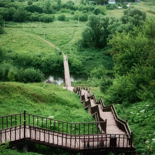 Photo #13812310