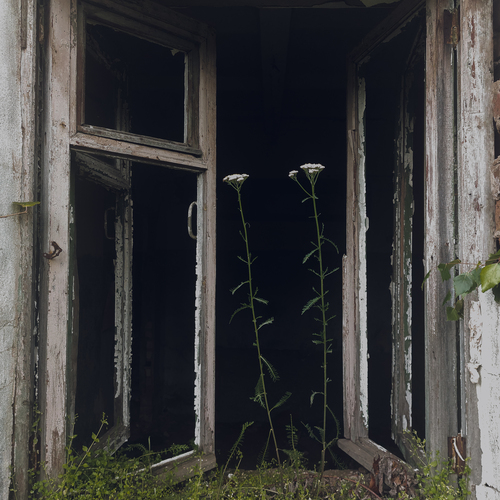 Photo #13812323