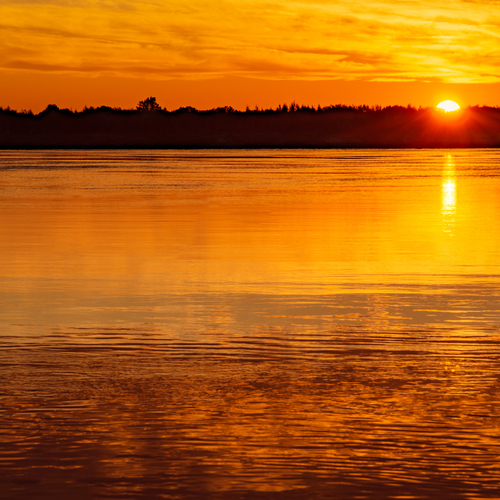 Photo #13812361
