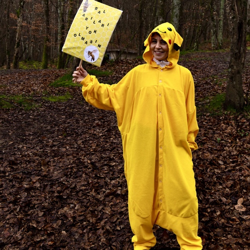 Photo #13812403