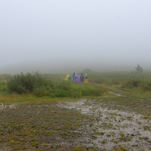 Photo #13812420