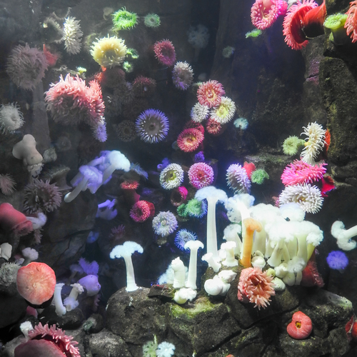 Photo #13812475