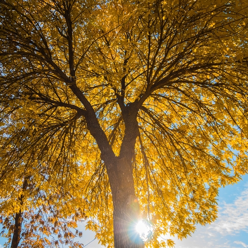 Photo #13812530