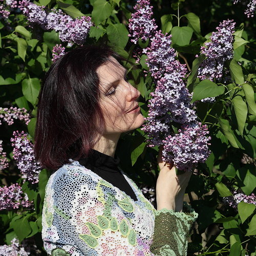 Photo #13812573