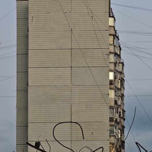 Photo #13812637