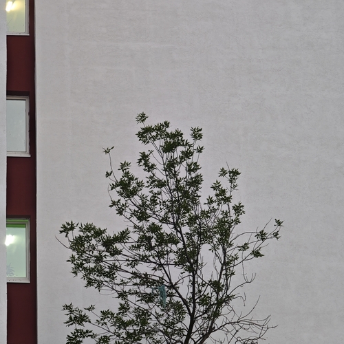 Photo #13812648