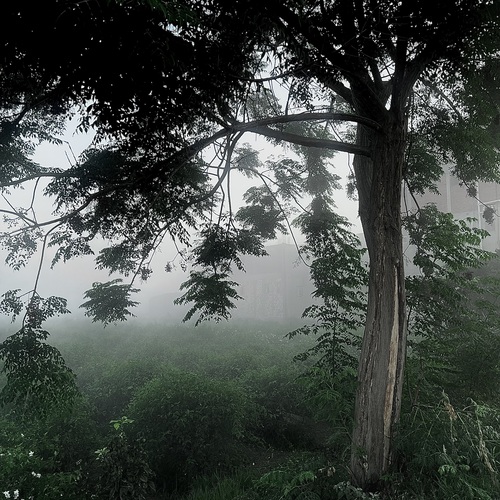 Photo #13812676