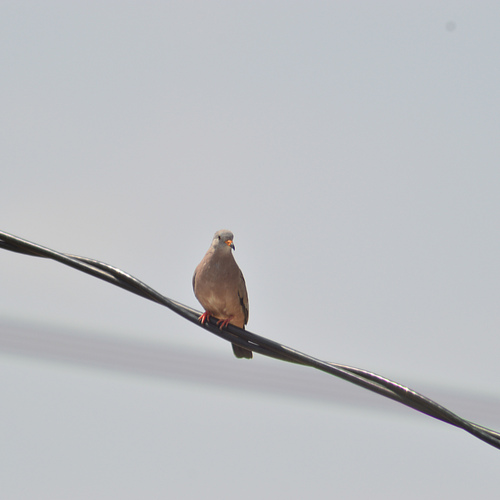Photo #13812730