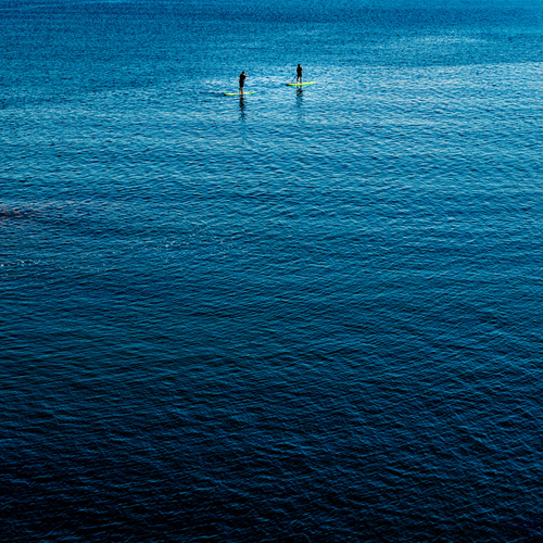 Photo #13812754