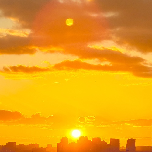 Photo #13813003