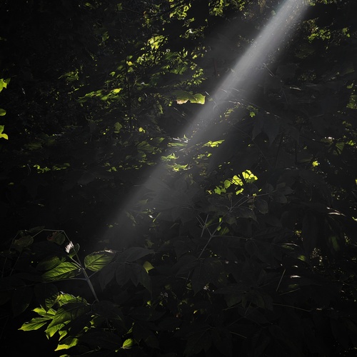 Photo #13813015