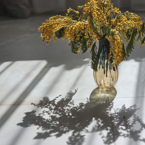 Photo #13813438