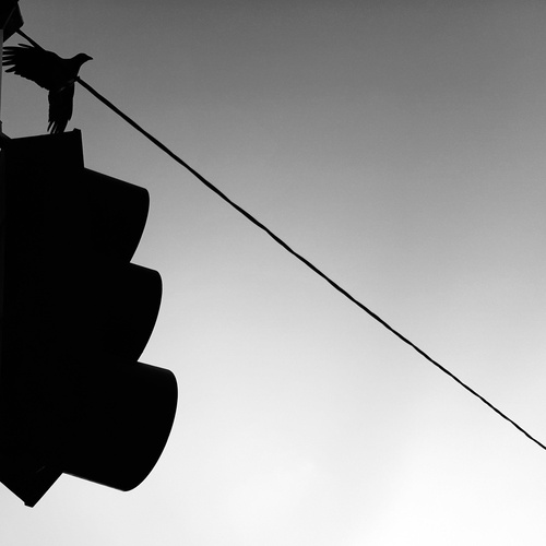 Tuesday on wire