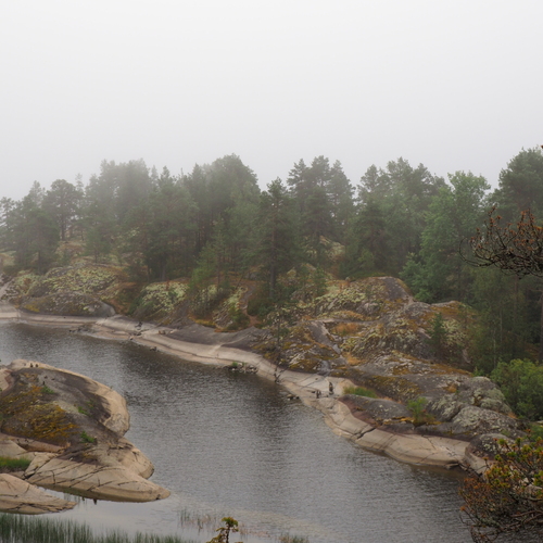 Photo #13813700