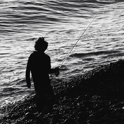 Photo #13813732