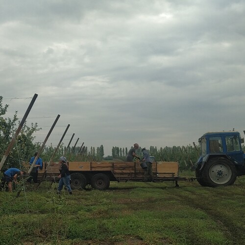 Photo #13813940