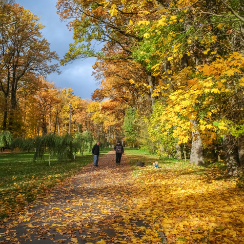Photo #13814054