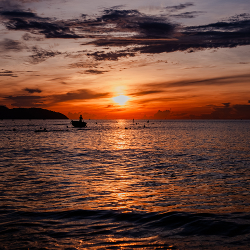 Photo #13814074