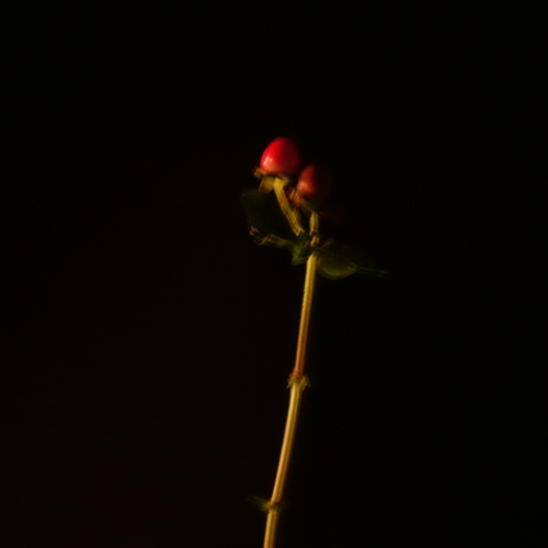 Photo #13814366