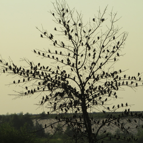 Photo #13814495