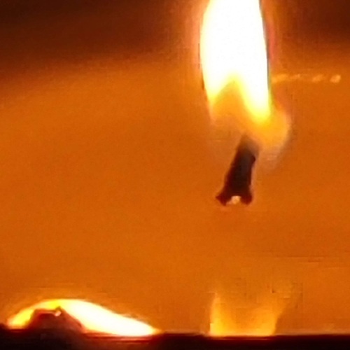Photo #13814696