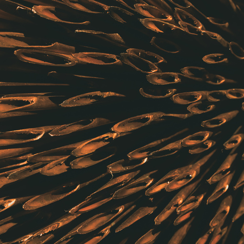 Photo #13814745