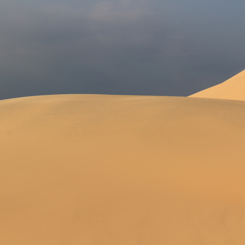 Photo #13814834