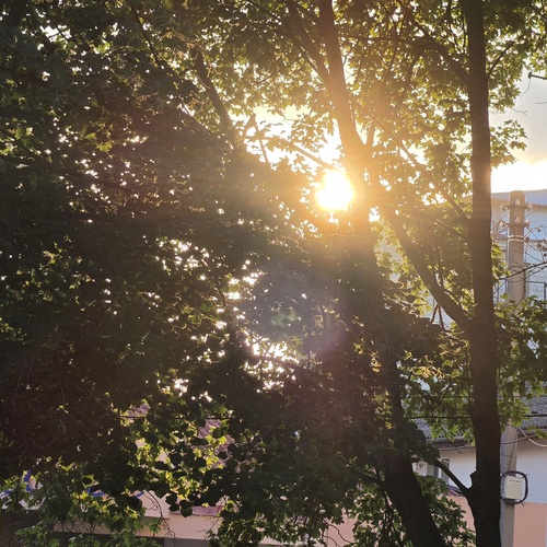 Photo #13815205