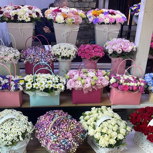Photo #13815259