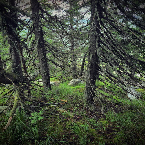 Photo #13815420