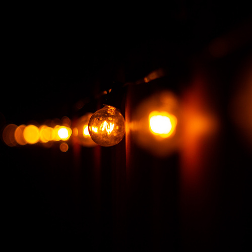 Photo #13815735