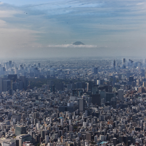 Photo #13815833