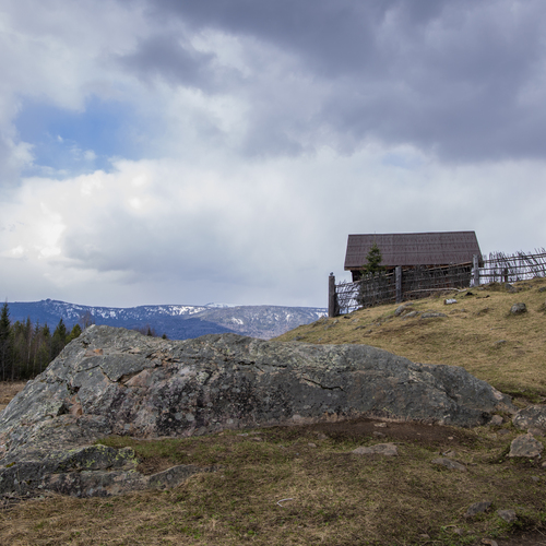 Photo #13815836