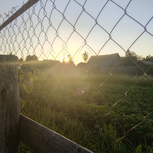 Photo #13815980
