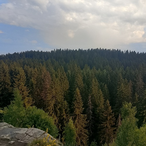 Photo #13816044