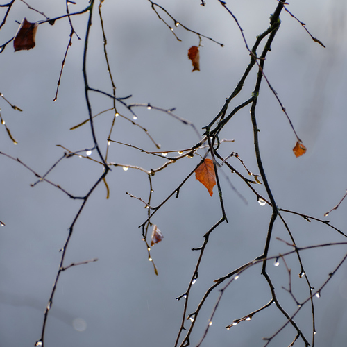Photo #13816234