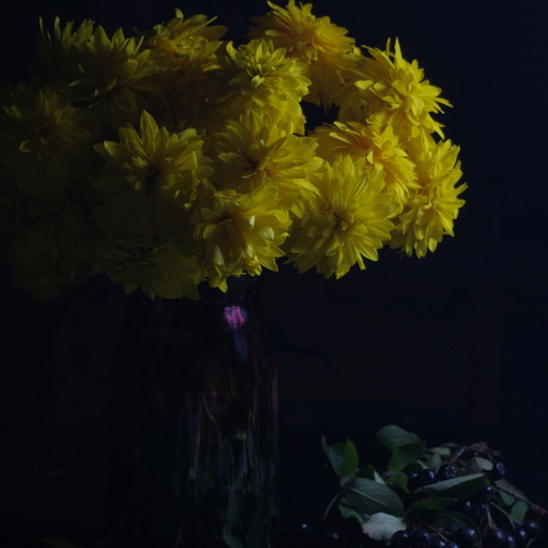 Photo #13816325
