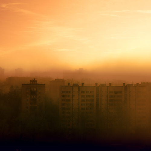 Photo #13816335