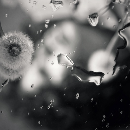 Photo #13816343