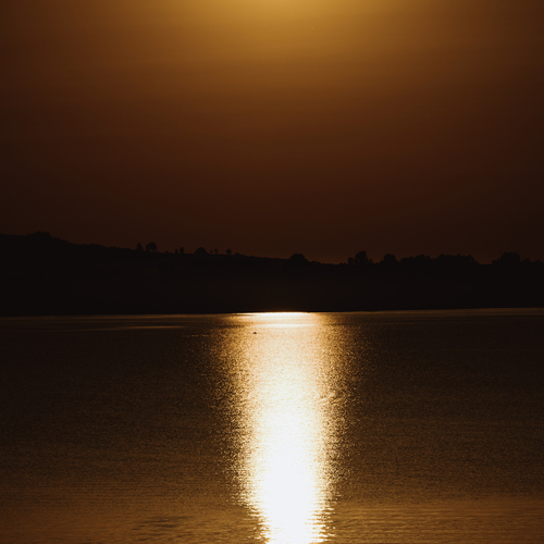 Photo #13816532
