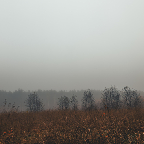 Photo #13816538