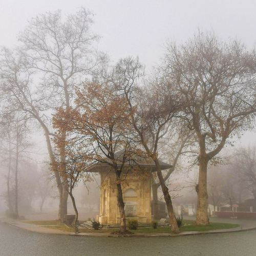Photo #13816548